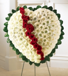 Broken Heart  from Visser's Florist and Greenhouses in Anaheim, CA